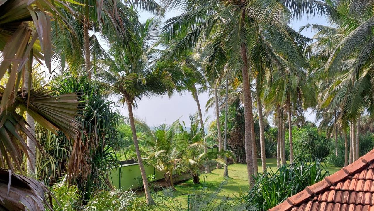 Bandulas Beach House Hikkaduwa Exteriér fotografie